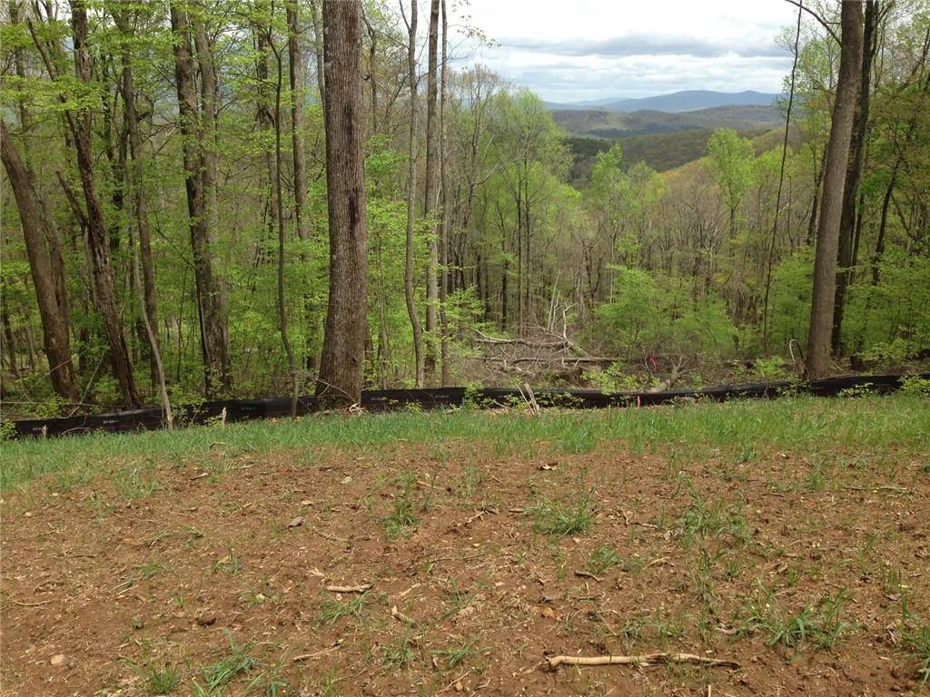 Ellijay, GA 30536,282 Andes RDG