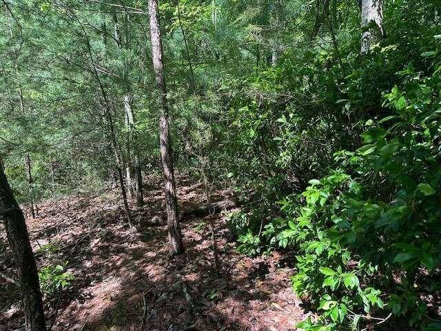 Ellijay, GA 30536,LOT 6 Marjorie AVE