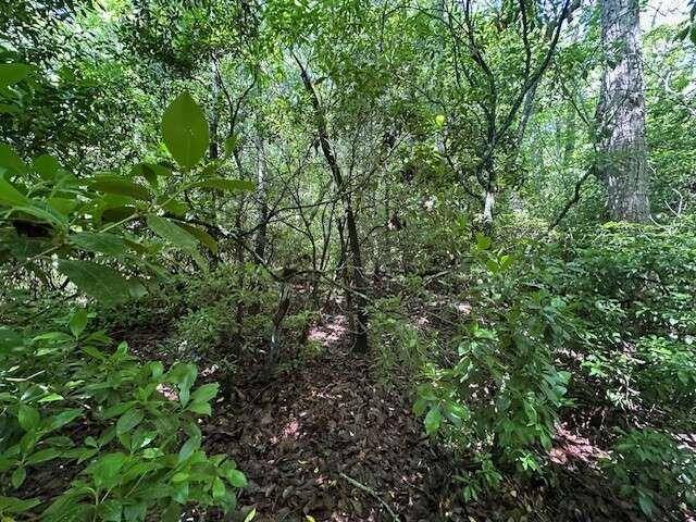 Ellijay, GA 30536,LOT 6 Marjorie AVE