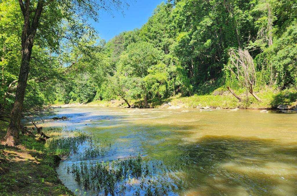 Ellijay, GA 30540,0808 River Top RD