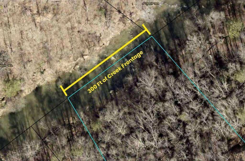 Ellijay, GA 30540,0808 River Top RD