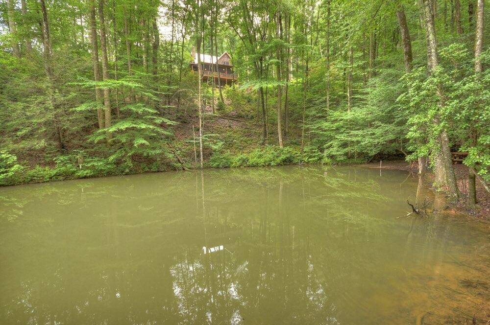 Ellijay, GA 30540,34 Chief Whitetails RD