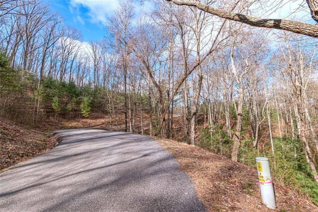 Mineral Bluff, GA 30559,LOT 43 Dusty Danno TRL