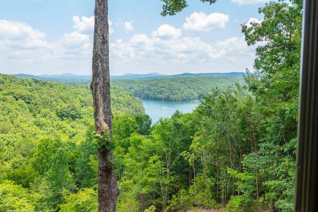 Blue Ridge, GA 30513,266 Necowa Cove Overlook