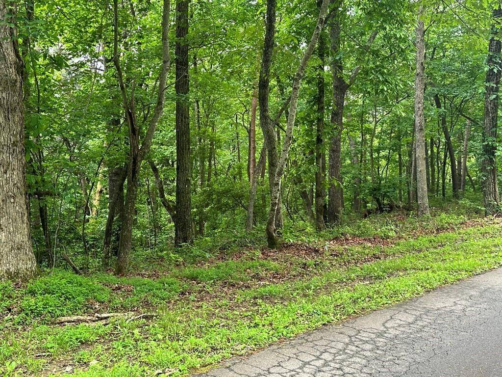 Ellijay, GA 30540,Lot 59 Timberwalk DR