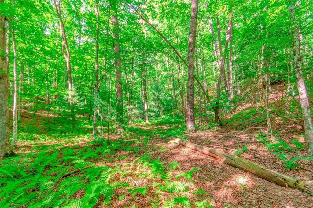 Blue Ridge, GA 30513,LOT 10 Cashes Valley LN