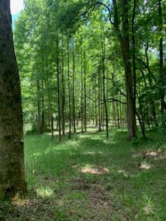 Ellijay, GA 30540,0 Craigtown RD