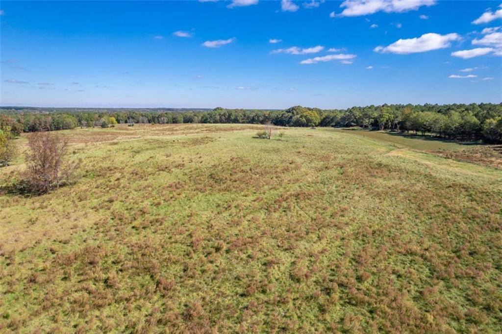 Madison, GA 30650,LOT 12 Wallace RD