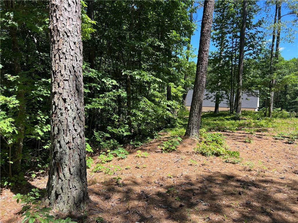 Dahlonega, GA 30533,Lot 2 River Highlands RD