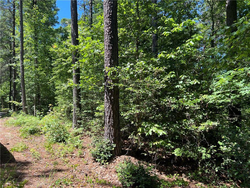 Dahlonega, GA 30533,Lot 2 River Highlands RD