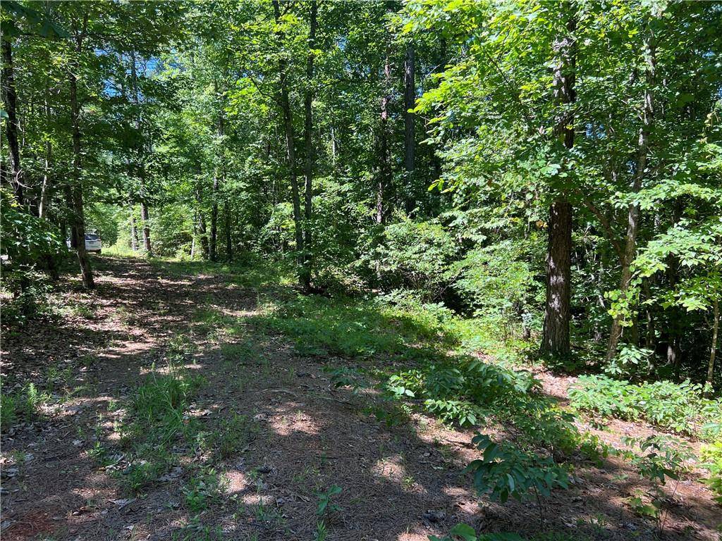 Dahlonega, GA 30533,Lot 2 River Highlands RD