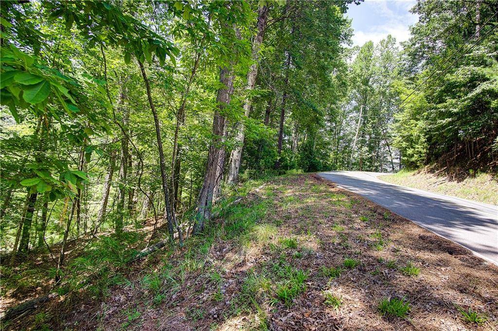 Ellijay, GA 30540,00 Newport DR