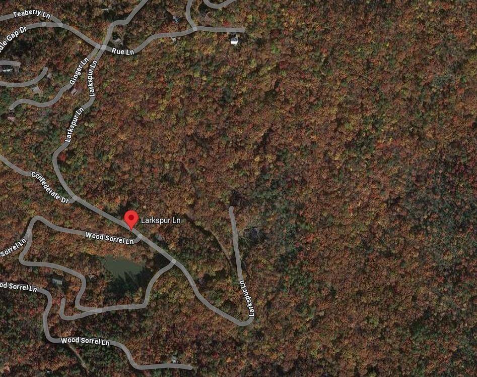 Clayton, GA 30525,846 Larkspur Ln