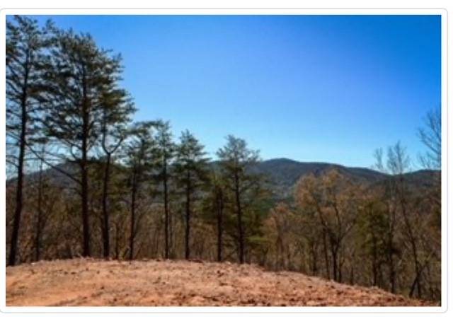 Blue Ridge, GA 30513,0 Clearview Mountain