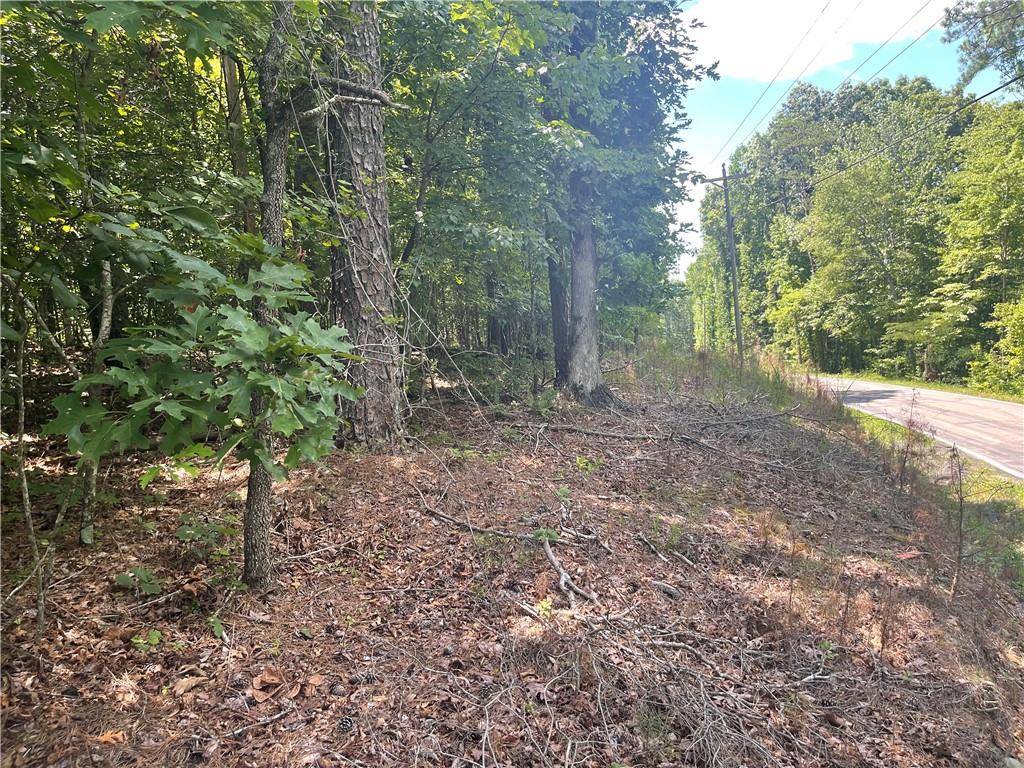 Jasper, GA 30143,0 Salem Church Road Lot #4