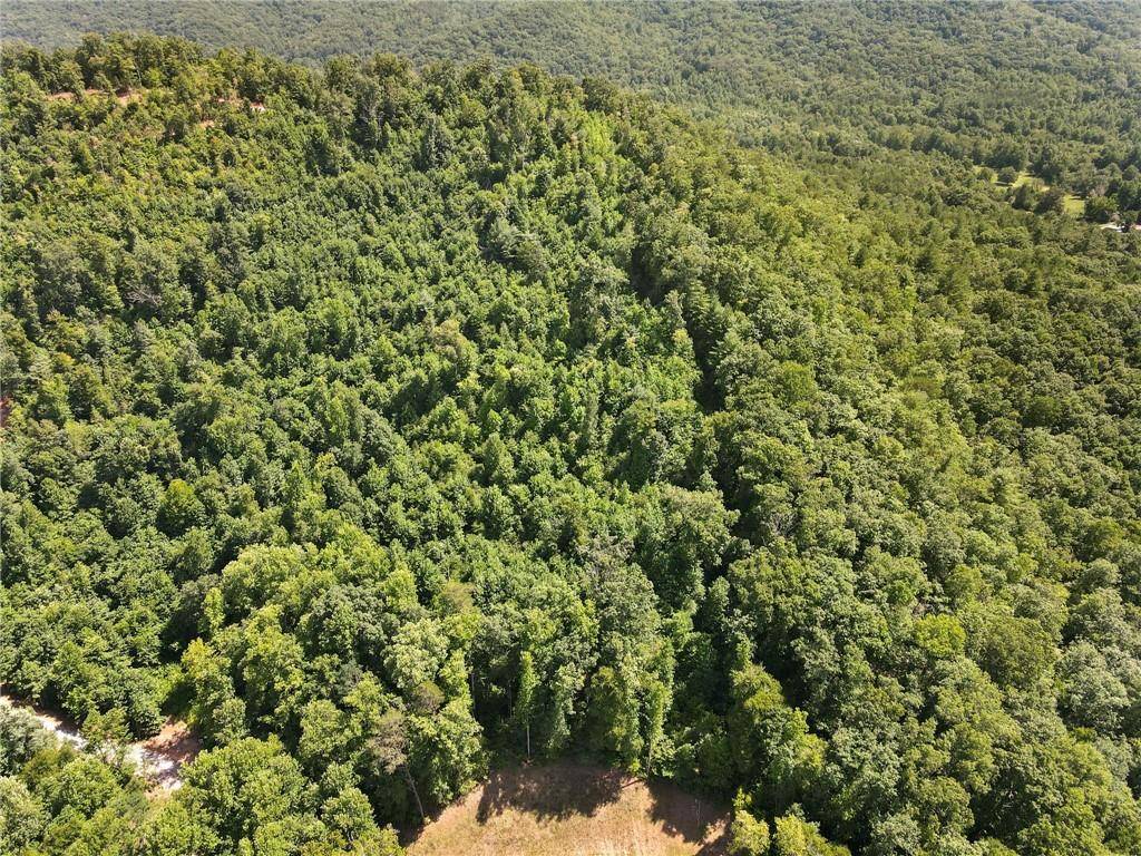 Hiawassee, GA 30546,0000 Tom Wheeler RD