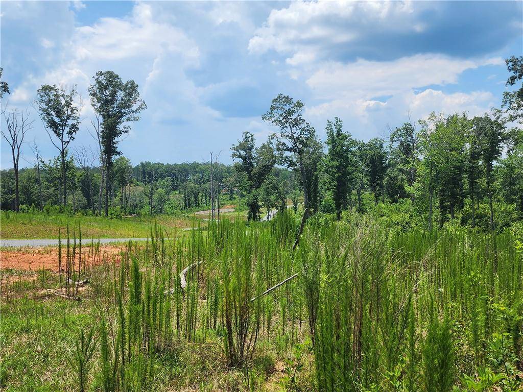 Ellijay, GA 30540,Lot211 Woodstone TRL