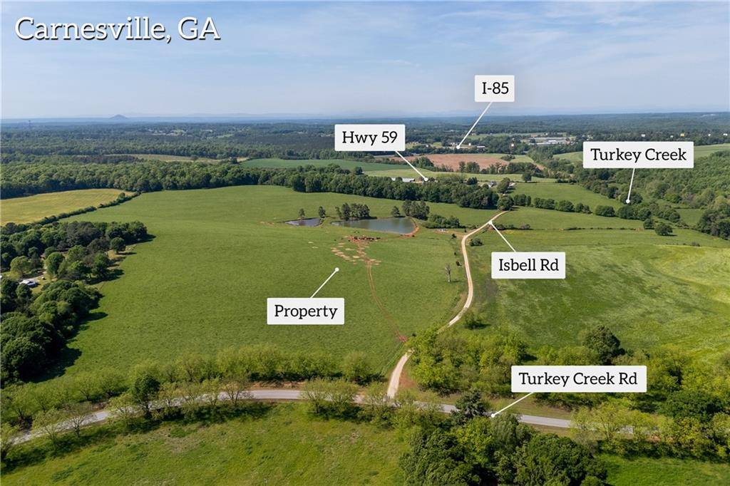 Carnesville, GA 30521,000 Turkey Creek RD