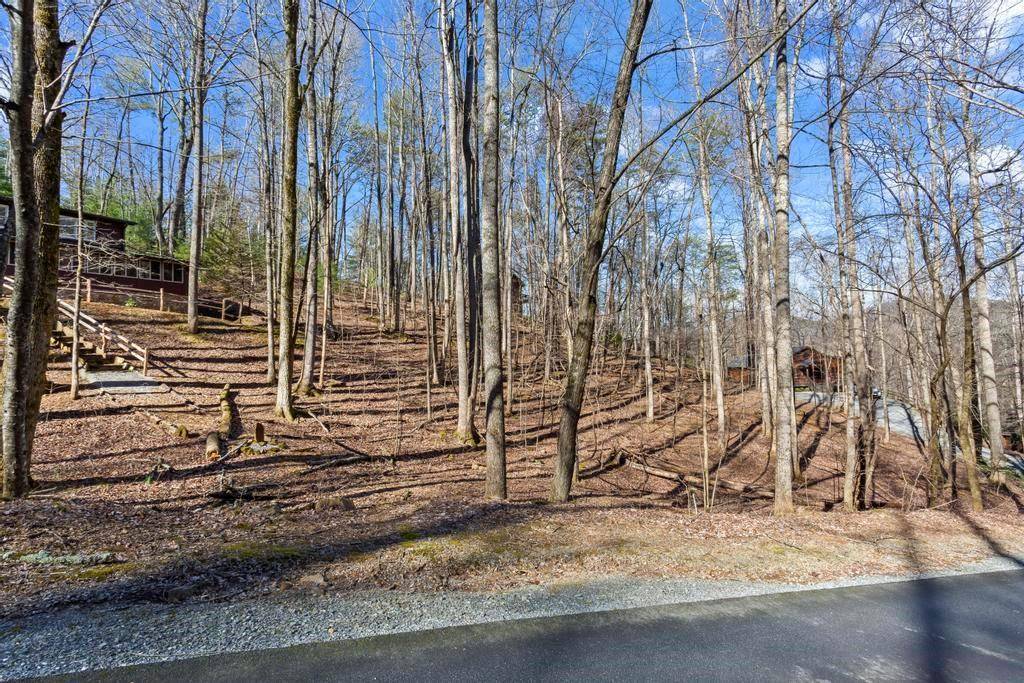 Ellijay, GA 30536,0 Sleepy Hollow RD