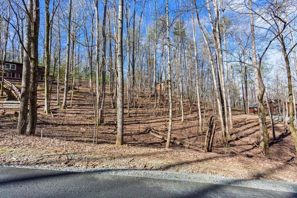 Ellijay, GA 30536,0 Sleepy Hollow RD