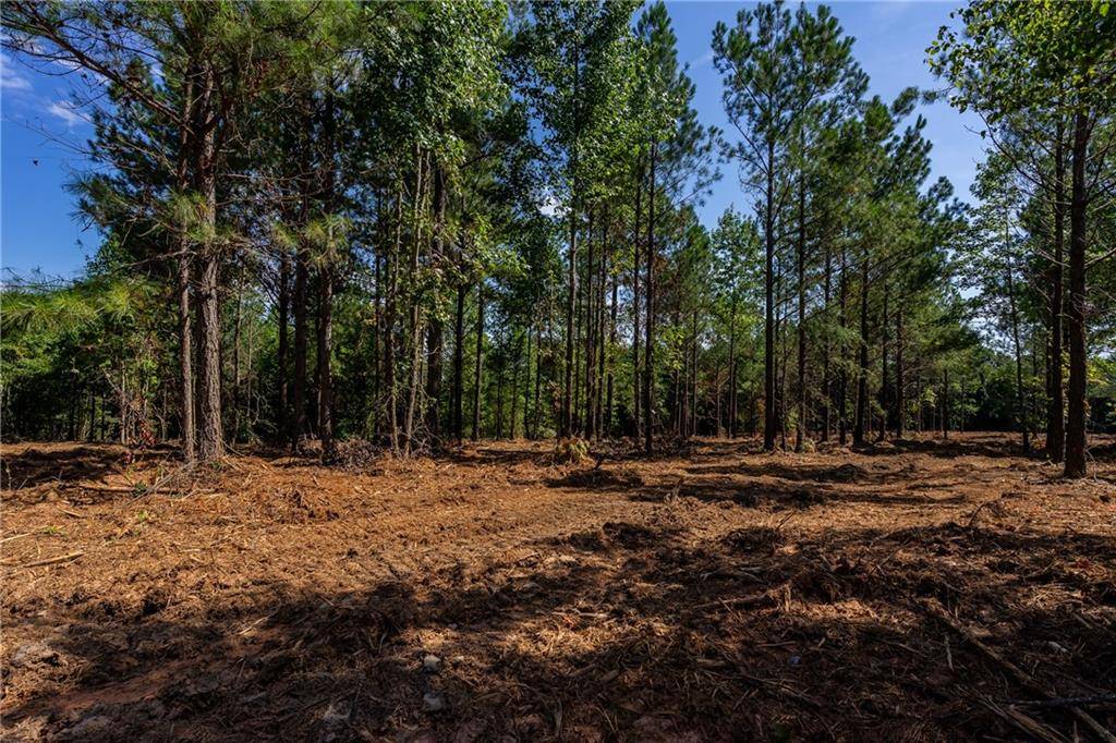 Fairmount, GA 30139,Lot 4 Young LOOP