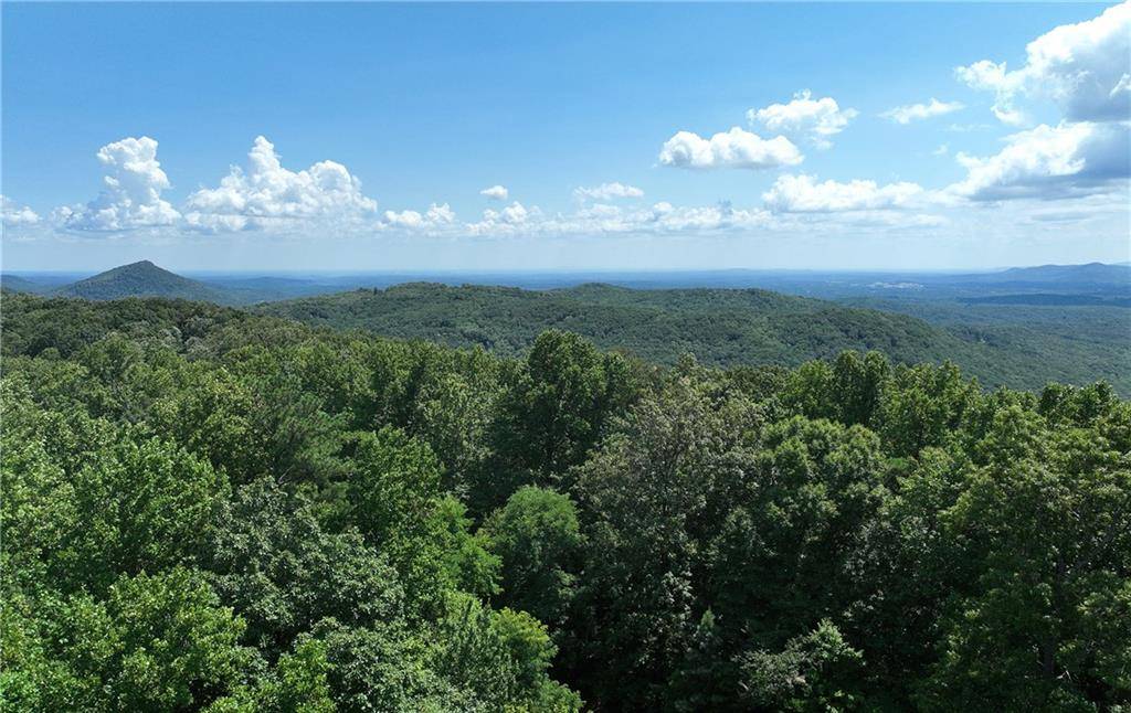 Ellijay, GA 30536,257 Andes RDG