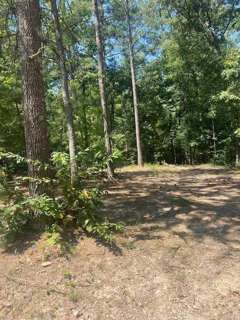 White, GA 30184,164 Pine Ridge RD NW