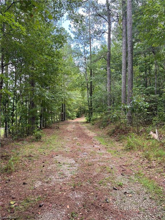 Palmetto, GA 30268,7670 COCHRAN MILL RD