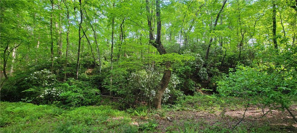 Dallas, GA 30132,20 Vineyard RD