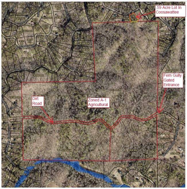 Ellijay, GA 30540,0 Fern Gully Way