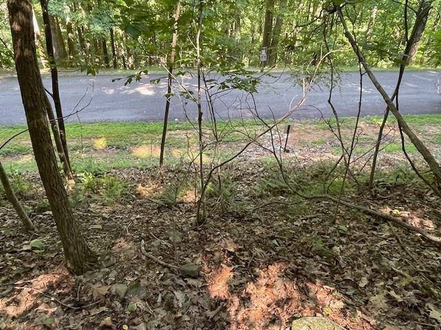 Cleveland, GA 30528,Lot 61 Mountainside DR