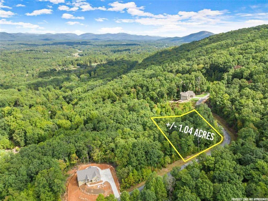 Cleveland, GA 30528,LOT 24 Long Mountain TRL