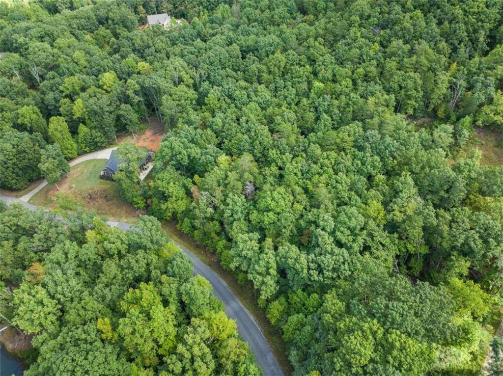 Cleveland, GA 30528,LOT 49 Long Mountain TRL