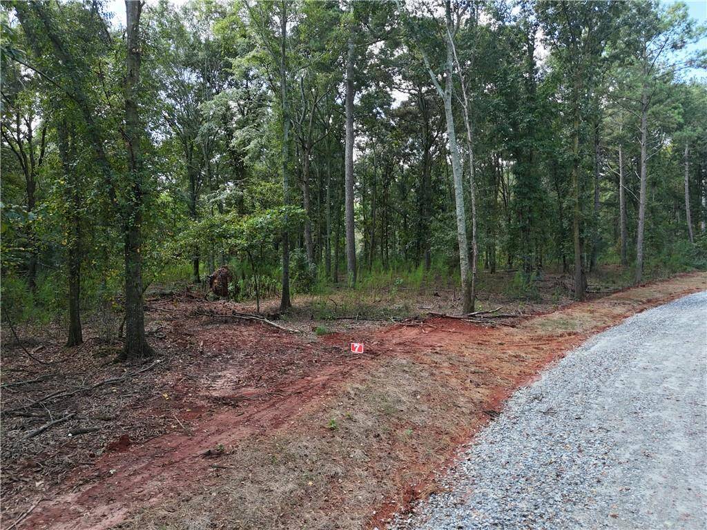 Nicholson, GA 30565,0 Sanford Lake DR