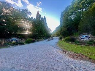 Dahlonega, GA 30533,LOT 48 Green Meadows