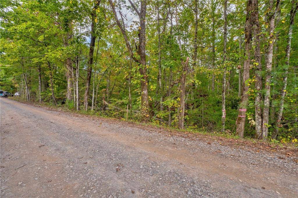 Ellijay, GA 30540,698 Quail Run RD