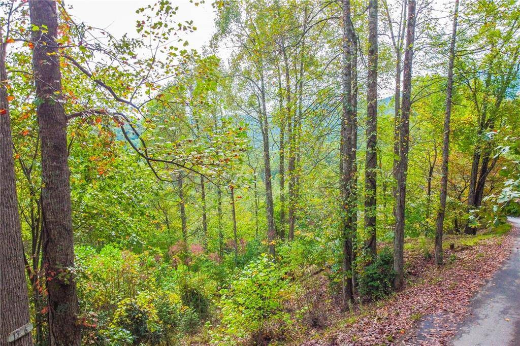 Hiawassee, GA 30546,0 Summit Trail