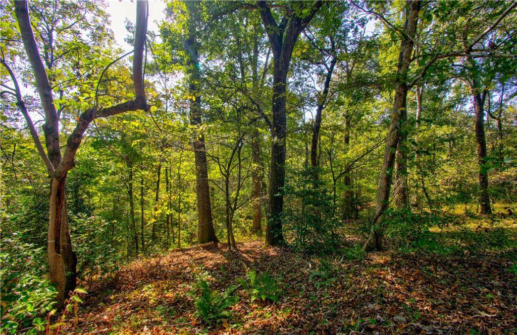 Dahlonega, GA 30533,00 Highway 52 West, Lot 5