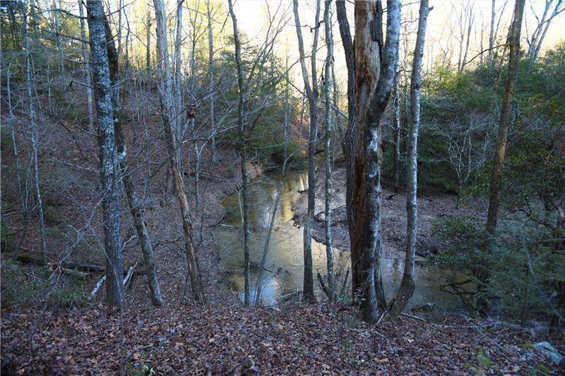 Ellijay, GA 30540,0 Harrison Sluder RD