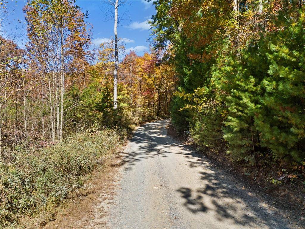 Ellijay, GA 30536,11.51 Old Burnt Mountain Rd