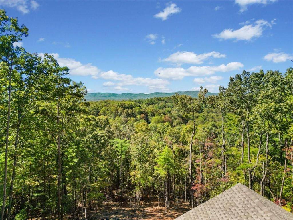 Ellijay, GA 30540,64 Hickory TRL