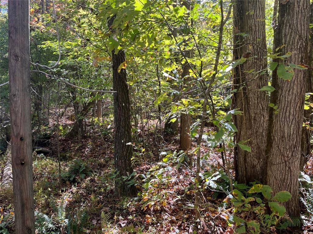 Dahlonega, GA 30533,0 Little Mountain Rd