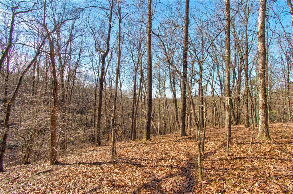 Dahlonega, GA 30533,500 Chapman Ridge Lane