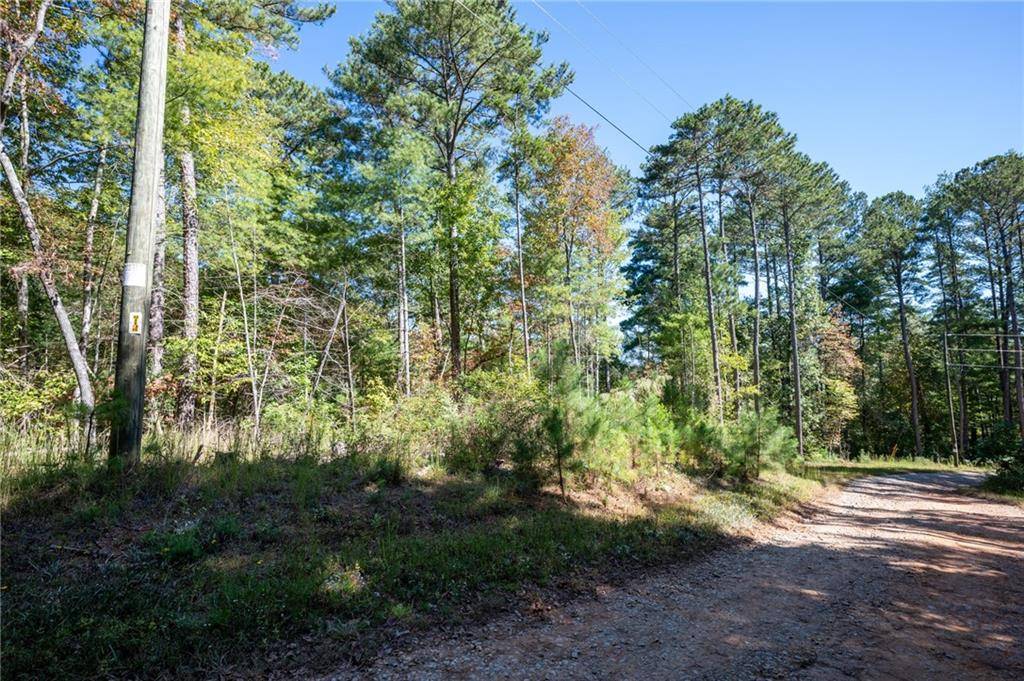 Ellijay, GA 30540,0000 Jumper DR