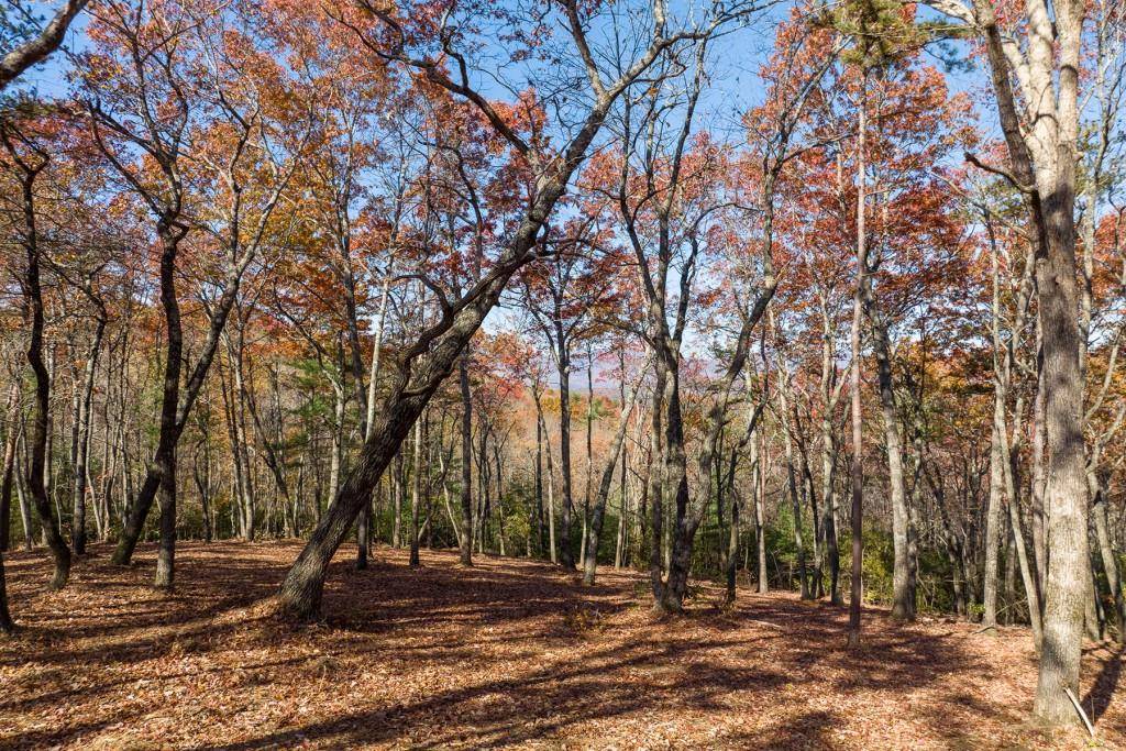 Ellijay, GA 30536,LOT 40 Preserve TRL