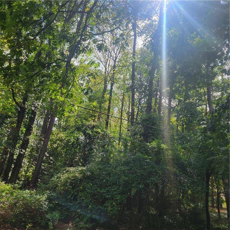 Grantville, GA 30220,00 Bohannon RD