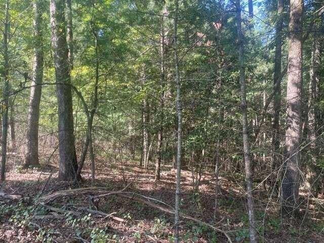 Ellijay, GA 30536,LT 14 Clear Creek Preserve WAY