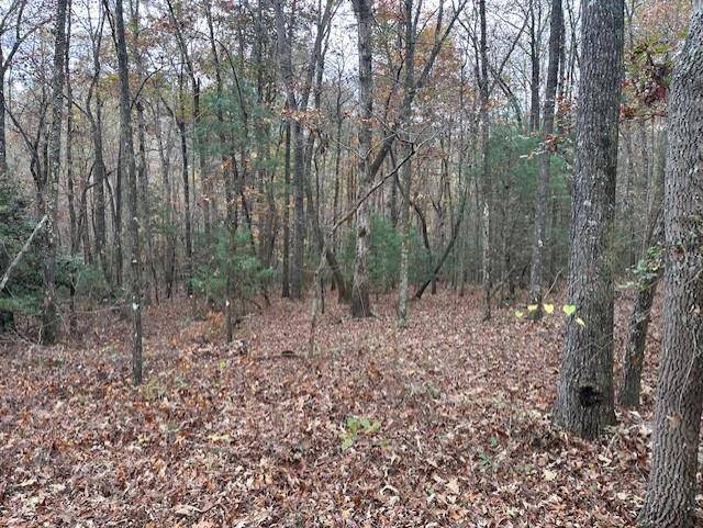 Ellijay, GA 30536,LOT 11 Clear Creek Preserve WAY