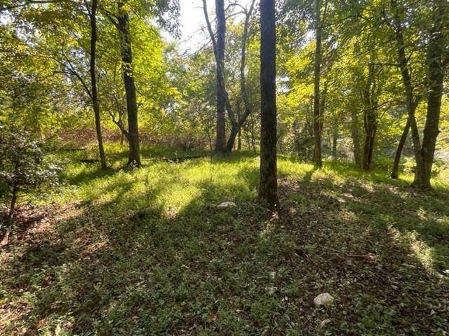 Ellijay, GA 30536,LOT 5 Clear Creek Preserve WAY