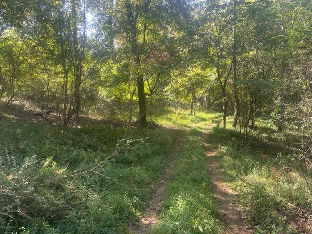 Ellijay, GA 30536,LOT 5 Clear Creek Preserve WAY